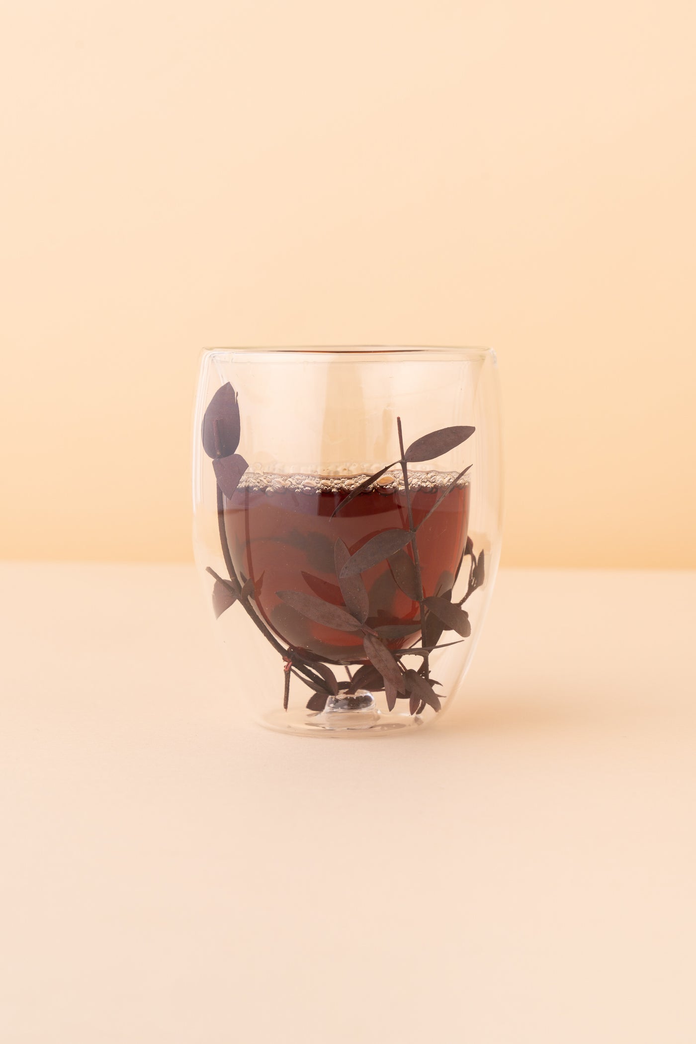 TP5 Double Wall Glass Mug