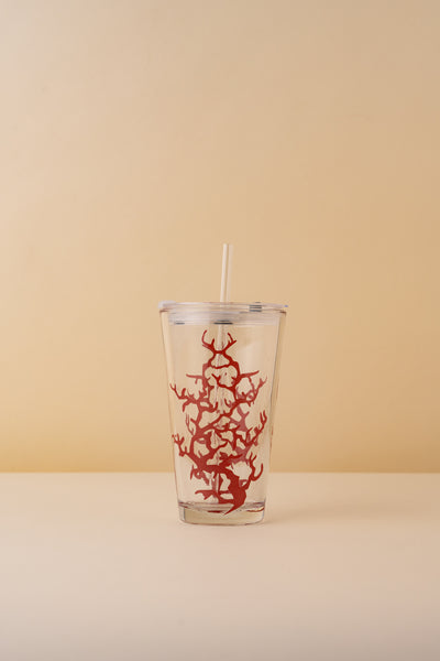 B25 Glass Mug With Lid + Straw