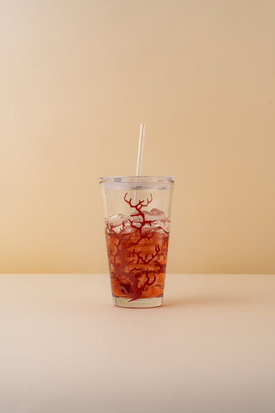 B25 Glass Mug With Lid + Straw