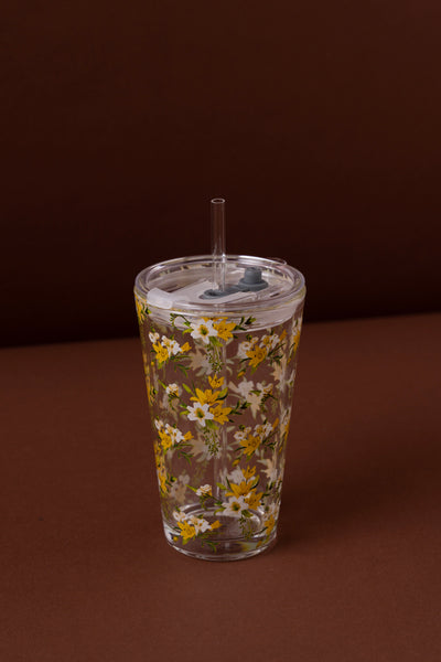 B6 Glass Mug with Lid + Straw